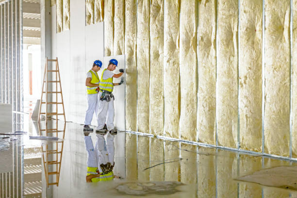 Best Basement Insulation  in Utica, OH